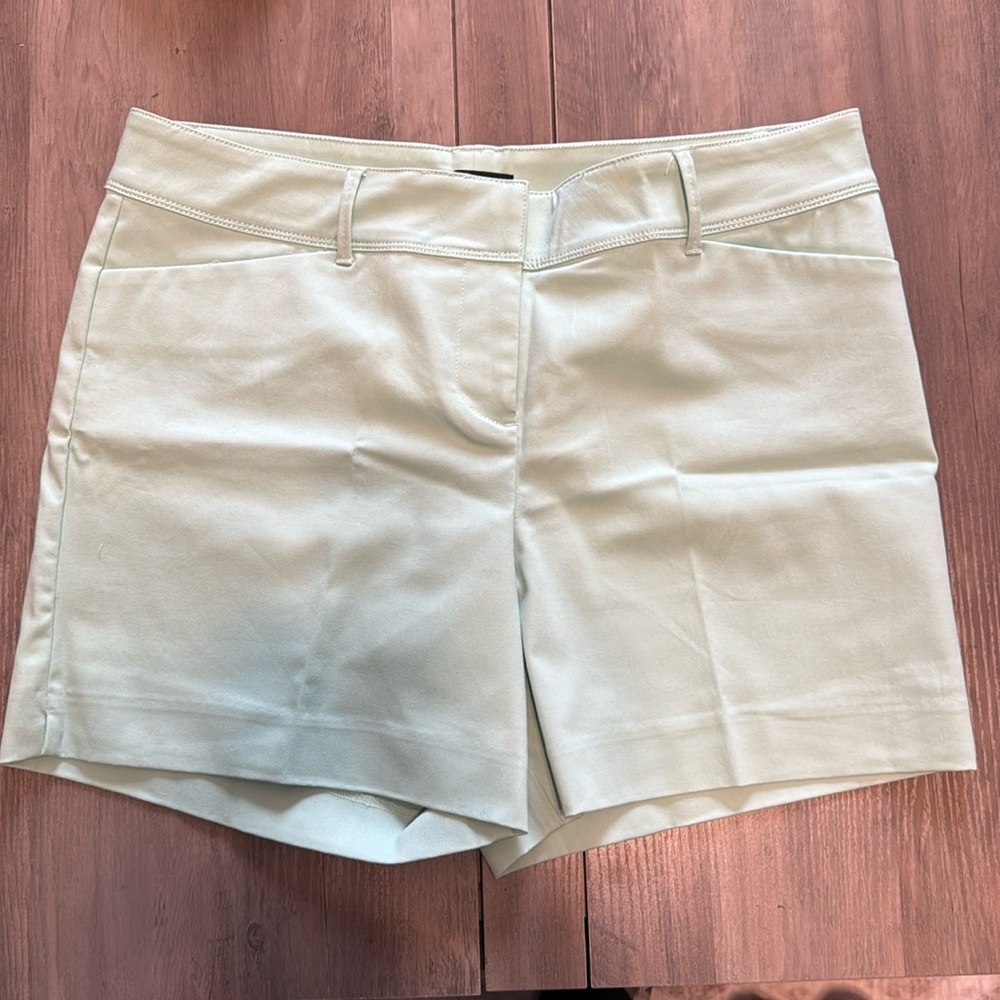 Mint green size 14 limited shorts
